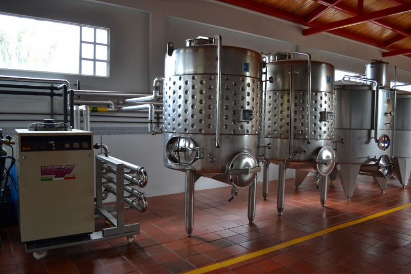 cave-TOURNEFORT-min_wine_production_cantine_winery_drink_alcohol_vine_beverage-902036